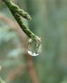 'Water Drop Reflecting' by Anastasia Alexandra Antonova